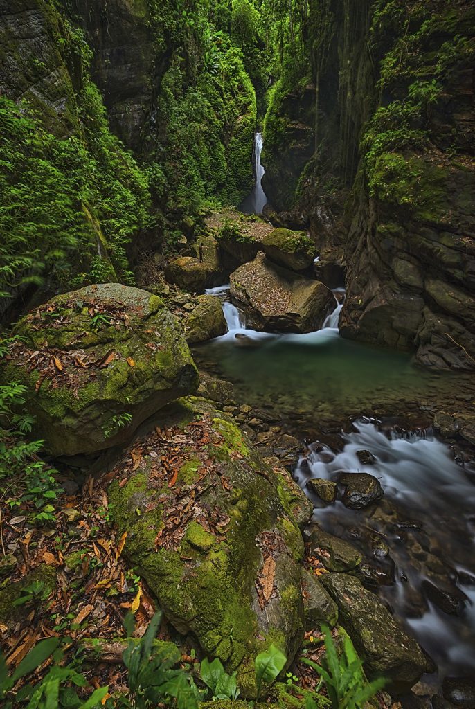 The Nature Conservancy Photo Contest Peoples Choice Winner 2019 waterfall min2